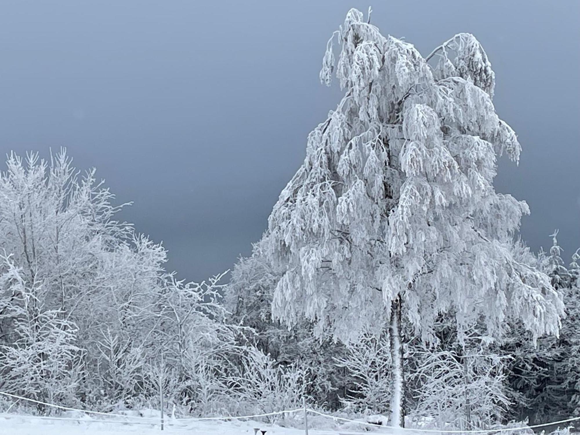 Ferienwohnung Wolkenplatz Winterberg Ngoại thất bức ảnh